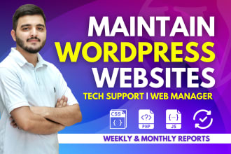 do wordpress maintenance, provide website support or help