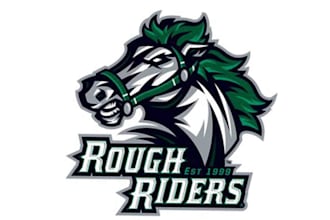 design outstanding horse logo with express delivery