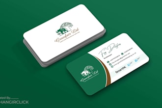 do professional business card design, business logo design