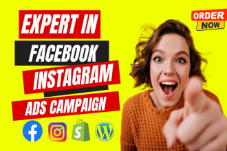 setup and manage facebook ads campaign and instagram ads for your business