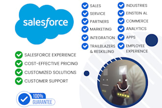 provide salesforce customization, development, integration