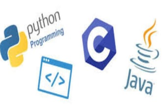 be your programmer to program your c cplusplus python java golang problems