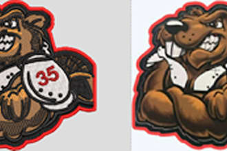 do embroidery digitizing logo into embroidery file in 1 hour