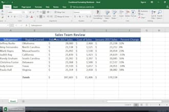 trasfer file types, create templates, data entry excel, transcription