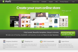 install, modify, create, shopify estore  ecommerce website