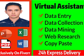do data entry, data management and data collection