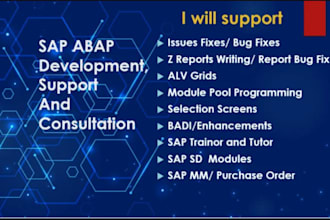 do sap abap development and consultation