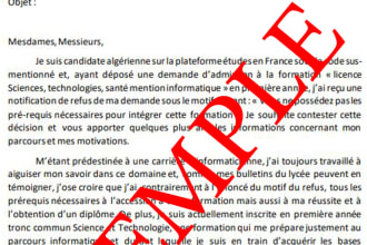 write your professional french cover letter