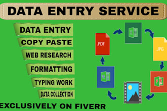 do excel data entry and web research and data cleaning