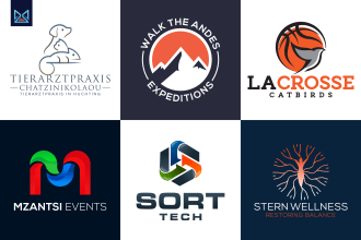 do a professional and custom logo design