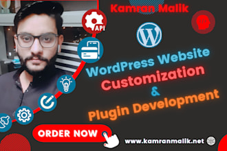 do wordpress customization or wordpress theme customization