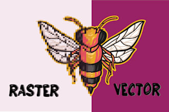 do vector tracing or raster to vector conversion in svg etc