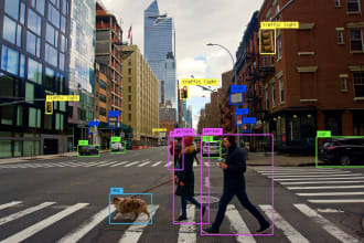 do image annotation, segmentation   data labeling for ai model