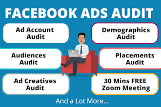 do professional audit of your facebook ad campaigns