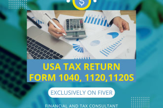 prepare your USA personal and business taxes