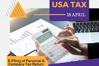 prepare your USA personal and business tax returns