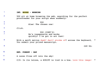 proofread and copy edit your screenplay or novella