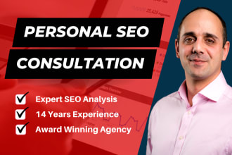 provide an expert SEO consultation via zoom