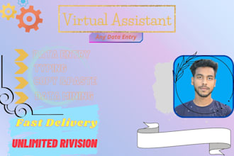 data entry and copy paste job