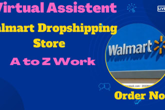 amazon and walmart dropshipping store management