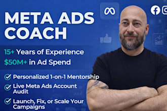 provide 1 on 1 meta ads coaching, mentoring and consulting