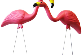 take a picture of a lawn flamingo in strange situations
