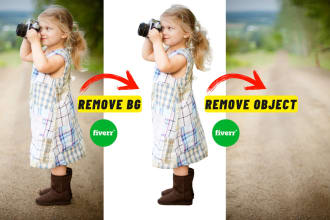 remove background or object from your photos