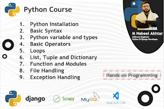 teach you python programming