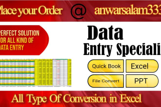 excel data entry, quick books data entry, data cleaning