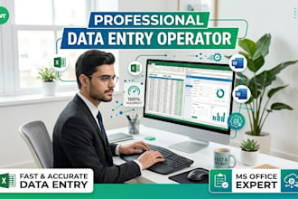 be your professional data entry and ms office expert