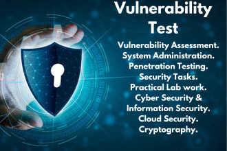 do a vulnerability test on your website or system