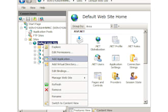 help you one Domain Setup