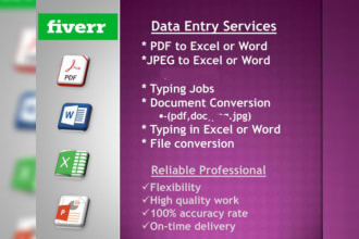do excel and word data entry, copy paste and typing