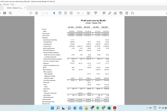 prepare financial statements in excel or any accounting software in 2 days