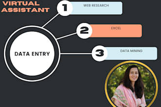 do professional data entry for accuracy and  efficiency