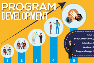 design creative infographic flowchart diagram within 24 hr