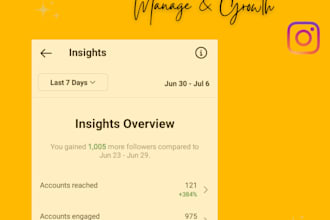 do instagram marketing for fast organic growth