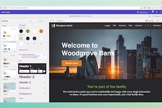 develop a custom powerapps ui design of power application