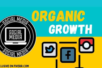 instagram, fb, twitter marketing for organic growth