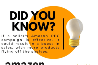 setup, optimize and manage your amazon fba PPC advertising campaigns