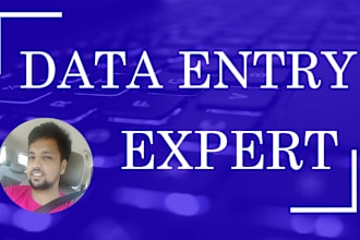 do ms excel data entry, data collection, web research