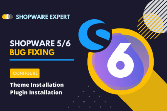 fix your shopware 5 and shopware 6 bugs