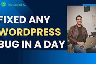 fixed any wordpress bugs in a day