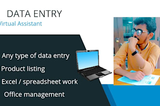 do freelance data entry work , and data entry operator