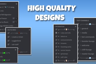 create a professional discord server with the best quality