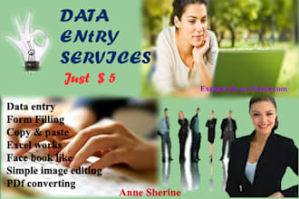 expert in data entry