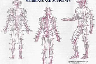 cleanse your meridians for 5 hours continuously