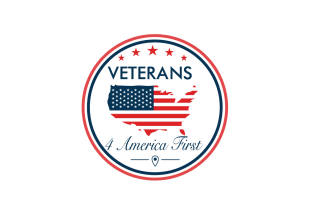 design eye catchy colorful design high quality veteran logo in express delivery