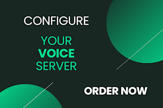 configure your voice server
