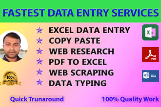 do fastest excel data entry, copy paste, typing work job